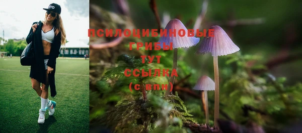 круглые Дмитровск