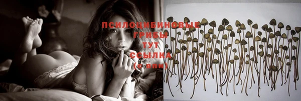 меф VHQ Дмитриев