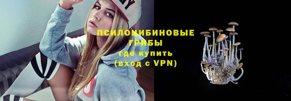 первитин Анива