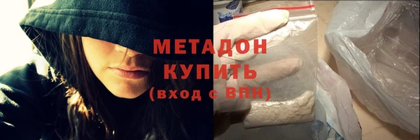 шишки Медвежьегорск