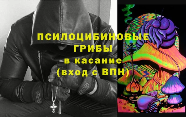 мдпв Апатиты