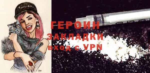 шишки Медвежьегорск