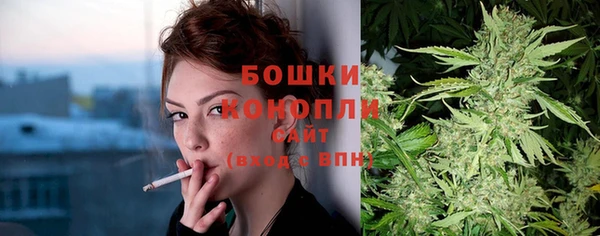 молекула духа Мегион