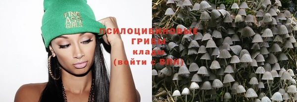 меф VHQ Дмитриев
