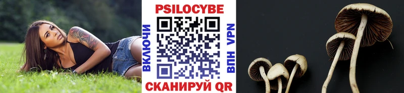 Псилоцибиновые грибы ЛСД  купить закладку  Железногорск-Илимский 