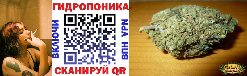 Конопля SATIVA & INDICA  купить наркотики цена  Железногорск-Илимский 